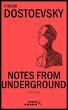 Notes from underground (eBook, ePUB) - Bild 1