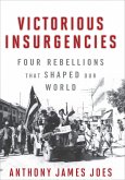 Victorious Insurgencies (eBook, ePUB)