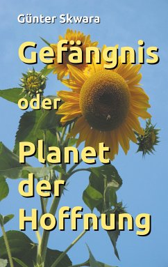 Gefängnis oder Planet der Hoffnung (eBook, ePUB)