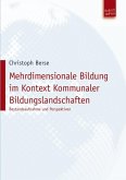 Mehrdimensionale Bildung im Kontext Kommunaler Bildungslandschaften (eBook, PDF)