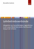 Lehrbetriebsverbünde (eBook, PDF)