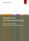 Kapitalismus und Naturzerstörung (eBook, PDF)