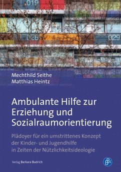 Ambulante Hilfe zur Erziehung und Sozialraumorientierung (eBook, PDF) - Seithe, Mechthild; Heintz, Matthias