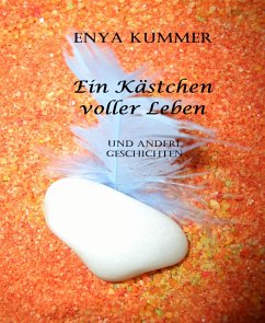 Ein Kästchen voller Leben (eBook, ePUB) - Kummer, Enya