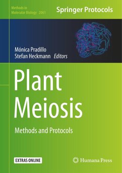 Plant Meiosis