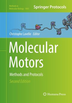 Molecular Motors