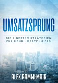 Umsatzsprung (eBook, ePUB)