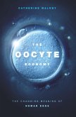 Oocyte Economy (eBook, PDF)
