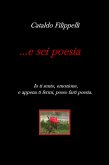 ...e sei poesia. (eBook, ePUB)