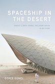 Spaceship in the Desert (eBook, PDF)
