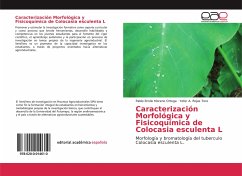 Caracterización Morfológica y Fisicoquímica de Colocasia esculenta L - Moreno Ortega, Pablo Emilio;Rojas Toro, Yefer A.