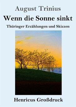 Cover Wenn die Sonne sinkt (Großdruck)