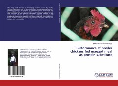 Performance of broiler chickens fed maggot meal as protein substitute