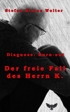 Der freie Fall des Herrn K. (eBook, ePUB) - Kleine Wolter, Stefan