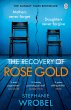 The Recovery of Rose Gold (eBook, ePUB) - Bild 1
