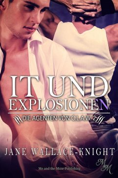 Cover IT und Explosionen (eBook, ePUB)