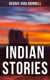 Indian Stories (eBook, ePUB)