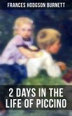 2 Days in the Life of Piccino (eBook, ePUB)