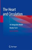 The Heart and Circulation