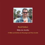 Bilder der Anwälte (eBook, ePUB)