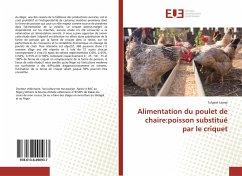 Alimentation du poulet de chaire:poisson substitué par le criquet - Laway, Tulgeat