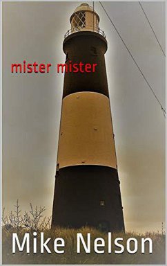 Cover Mister Mister (eBook, ePUB)