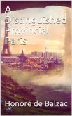 A Distinguished Provincial at Paris (eBook, PDF)