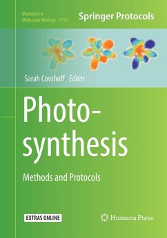 Cover Photosynthesis