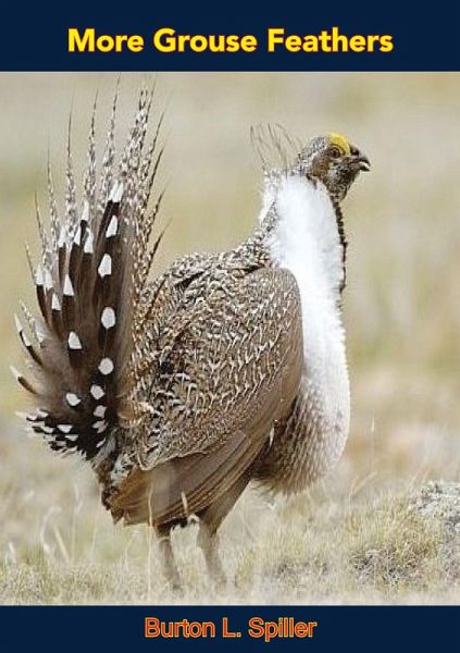 More Grouse Feathers (eBook, ePUB)