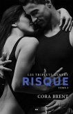 Risque (eBook, ePUB) Risque (eBook, ePUB)