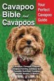 Cavapoo Bible And Cavapoos (eBook, ePUB)