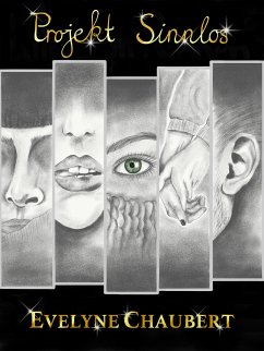 Projekt Sinnlos (eBook, ePUB) - Chaubert, Evelyne
