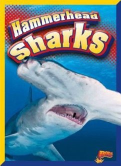 Hammerhead Sharks - Alderman, Christine Thomas