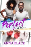 The Perfect Love Storm The Perfect Love Storm