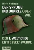 Der Sprung ins Dunkle (eBook, ePUB)