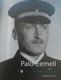 Palo-Eemeli (eBook, ePUB)