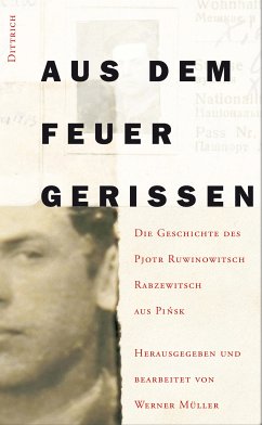 Aus dem Feuer gerissen (eBook, ePUB) - Müller, Werner