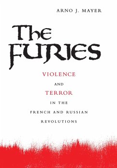 Furies (eBook, ePUB) - Mayer, Arno J.