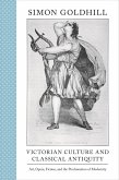 Victorian Culture and Classical Antiquity (eBook, ePUB)