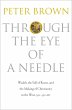 Through the Eye of a Needle (eBook,... - Bild 1
