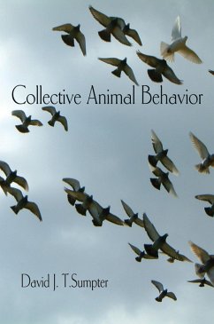 Collective Animal Behavior (eBook, ePUB) - Sumpter, David J. T.