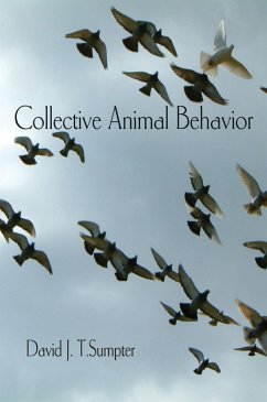 Cover Collective Animal Behavior (eBook, ePUB)