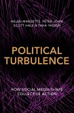 Political Turbulence (eBook, ePUB)