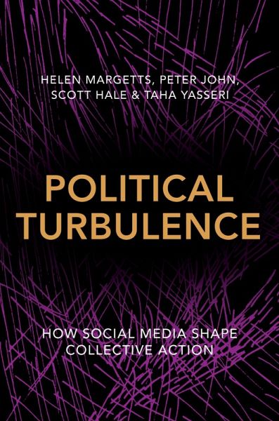 Political Turbulence (eBook, ePUB)