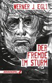 Der Fremde im Sturm (eBook, ePUB)