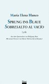 Sprung ins Blaue / Sobresalto al vacío (eBook, ePUB)