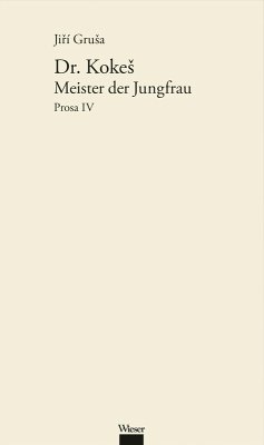Werkausgabe Jirí GruSa / Dr. KokeS: Meister der Jungfrau (eBook, ePUB) - Grusa, Jirí