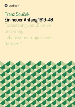 Ein neuer Anfang 1919-46 - Soucek, Franz