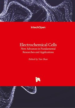 Electrochemical Cells