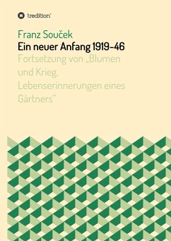 Ein neuer Anfang 1919-46 - Soucek, Franz